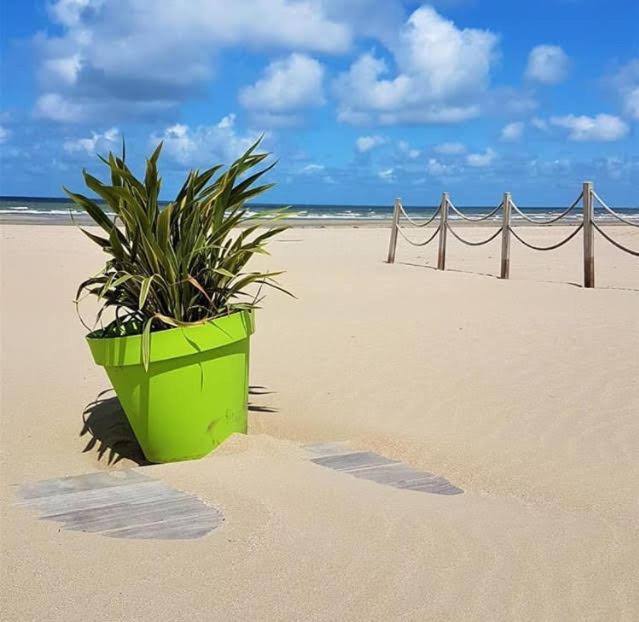 Lesparisnormands - Magnifique Vue Mer - Centre Et Plage Villers-sur-Mer Exteriör bild